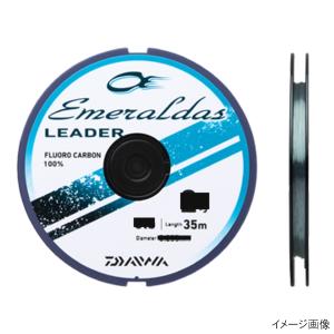 DAIWA（ダイワ） エギングロッド 25 エメラルダス X 79M・J : 釣具の