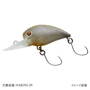 DAIWA（ダイワ） バスロッド 26 タトゥーラ 6011ULXS-ST【大型商品