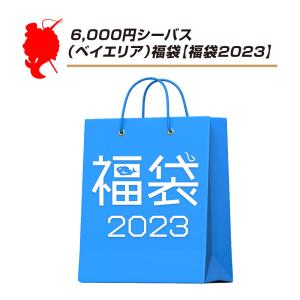 000円シーバス(ベイエリア)福袋【福袋2023】バラエティ福袋｜point-i