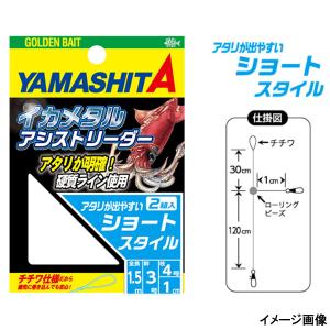 イカメタルアシストリーダー 3-4 ショート【ゆうパケット】