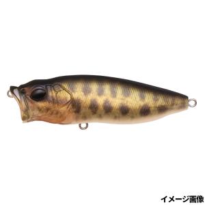 Megabass メガバス POPMAX ポップマックス (SP-C) (24年大阪商談