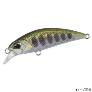 DAIWA（ダイワ） (7)【目玉商品】ダイワ 20 銀狼王牙 AGS 08号-50・R
