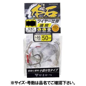 がまかつ 本石ワイヤー仕掛 遠投 針14号-ハリス#46 ID213【ゆうパケット】｜釣具のポイント