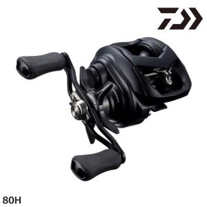 DAIWA（釣り） ダイワ 19 タトゥーラ TW 100SH / TATULA ベイト