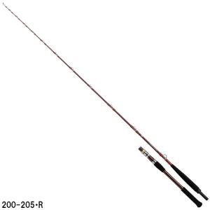 DAIWA（ダイワ） ディープゾーン GS【DEEP ZONE GS】 300-205・R