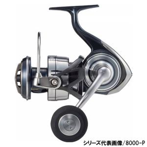 DAIWA（釣り） ダイワ 21 セルテート SW 10000-P (2021年モデル  