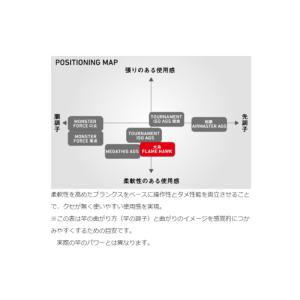 【現品限り】 ダイワ 磯竿 大島 フレイムホー...の詳細画像2