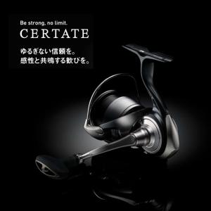 ダイワ スピニングリール セルテート LT40...の詳細画像5