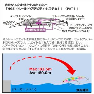 【アウトレット】 ダイワ ルアー ショアライン...の詳細画像4