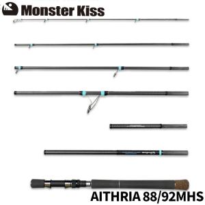 トランスセンデンス　エンピナード91/108s rev2 Empinado91S+Rev2｜エンピナード（Empinado91S｜108S