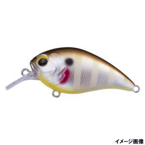 エギリー ダートマックスTR 30g-BK スーパーアジゴールド③ ×2個 マルキュー（MARUKYU） エギリー ダートマックスTR 40g-BK TR03
