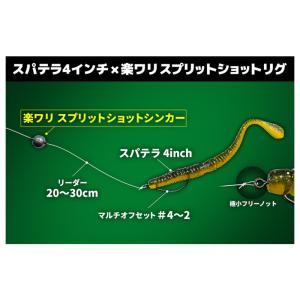 issei 楽ワリスプリットショットシンカー ...の詳細画像1