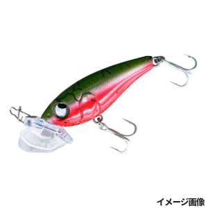 ルーディーズ ルアー バグバグチヌ サマースイカ...の商品画像