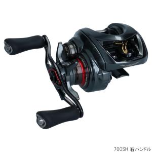 DAIWA 24STEZZ SV TW 100H リール DAIWA 24STEZZ SV TW 100H リール DAIWA】2024新登場！”STEEZ SV TW