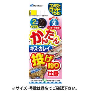 かんたん キス・カレイ 投げ釣り仕掛 2本鈎2セット 針8号-ハリス1.5号 NT536【ゆうパケット】｜point-i