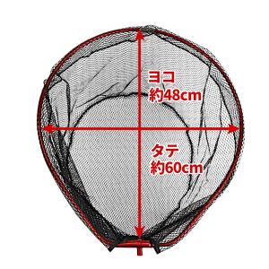 H.B コンセプト ラストウィニング ランディ...の詳細画像1