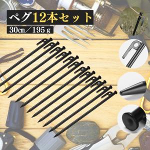 キャンプ用ペグ 12本セット 頑丈 キャンプ用品 アウトドア テント BBQ 川 山 ブラック 軽量コンパクト タープ 強度 アウトドア キャンプ｜point-net-store