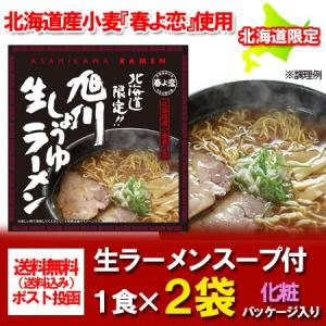 ポイント消化 お試し 500円 メール便 送料無料 食品 北海道 生ラーメン 送料無料 生麺 北海道限定 ラーメン 醤油/しょうゆ ラーメン 1食×2袋 価格 500 円