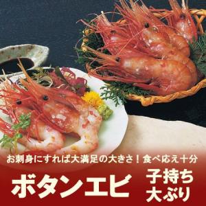 ボタンエビ  ぼたんえび 刺身 500g (8〜12尾) ボタン海老
