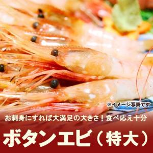 ボタンエビ 2kg ぼたんえび 送料無料 ボタンエビ 特大 ...