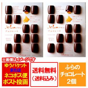 チョコレート 送料無料 ふらの メロン チョコレート 2個 チョコ 富良野 メロン ちょこれーと furano スイーツ 洋菓子｜pointhonpo
