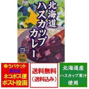 ハスカップ カレー 送料無料 ハスカップカレー ベル食品 レトルトカレー 北海道 ハスカップカレー 1個 1人前 北海道産 ハスカップ果汁 使用 ハスカップ｜pointhonpo