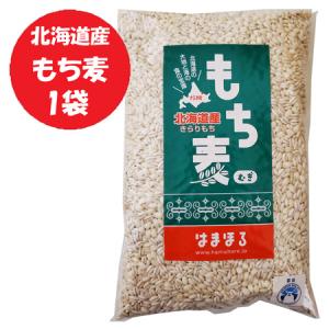 もち麦 送料無料 もちむぎ 1袋 北海道 きらりもち 大麦 穀物 雑穀
