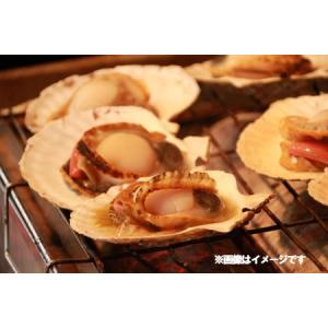 北海道 ホタテ 送料無料 殻付き ほたて 北海...の詳細画像1