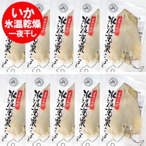 「北海道 イカ 一夜干し 」 氷温乾燥 北海道産 イカの一夜干し