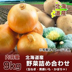 野菜 送料無料 男爵いも / 玉ねぎ / かぼちゃ 計9kg 北海道 野菜セット ( だんしゃくいも たまねぎ 南瓜 1個 )価格 3000 円 ポッキリ 送料無料｜pointhonpo