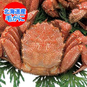 毛蟹 送料無料 毛ガニ 浜茹で けがに 北海道 毛ガニ 冷凍 浜ゆで 毛がに ボイル 北海道産 毛ガニ 1尾(400g) 魚介類 海産物 カニ