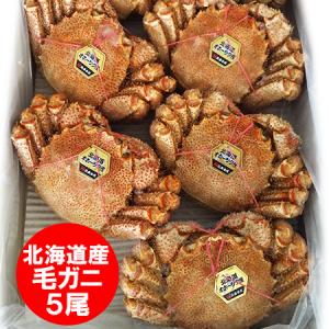 毛ガニ 送料無料 毛がに 北海道 浜ゆで 毛ガニ...の商品画像
