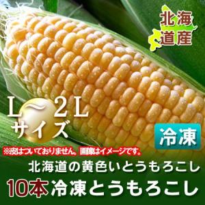 北海道産 とうもろこし 冷凍 トウモロコシ 北海道の黄色いとうもろこし