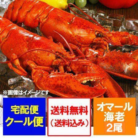 オマール海老 送料無料 オマール海老 ボイル 2尾 ( 1尾 300 g前後×2 ) オマールエビ ...