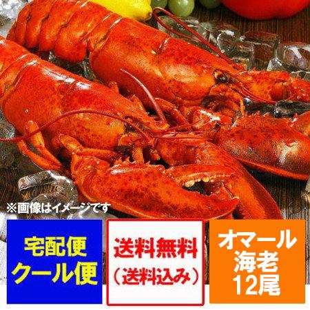 ロブスター 送料無料 ボイル オマール 海老 12尾(1尾 350g×12) 1箱(1ケース) 送料...