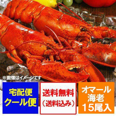 オマール海老 送料無料 オマールエビ ボイル 15尾(1尾 300g×15) 1箱(1ケース) オマ...