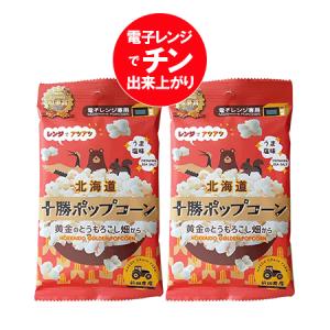 北海道 ポップコーン 北海道産 とうもろこし 使用 ポップコーン 1袋×2 電子レンジ 専用 北海道 知事賞