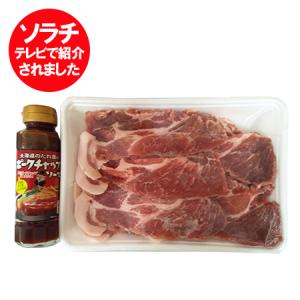 ポークチャップ 北海道産 豚肉 セット 送料無料 北海道産 豚肩ロース 500g 1パック / ソラチ ポークチャップのたれ セット ポークチョップ｜pointhonpo