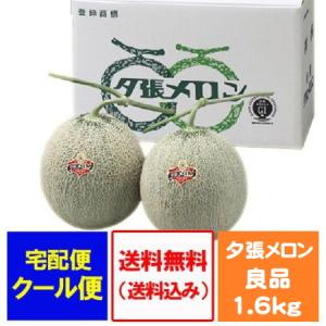 夕張メロン 送料無料 夕張メロン 2玉 夕張メロン 大玉 (1.6kg×2) 夕張 メロン 良品 化粧箱入 ゆうばりめろん 夕張農協共撰 メロン 果物 フルーツ