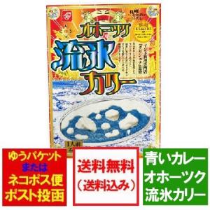 流氷カレー 送料無料 流氷カリー レトルト カレー 北海道 オホーツク 流氷カリー 1個 1000 円 ポッキリ オホーツク流氷カレー レトルトカレー 青いカレー