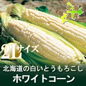 とうもろこし 北海道 白いとうもろこし ピュアホワイト 白い...