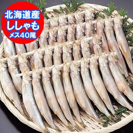 随時発送中 北海道 ししゃも 送料無料 ししゃも メス 北海道産 子持ち ししゃも 本ししゃも シシ...