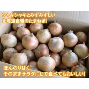 最短発送中 玉ねぎ 20kg 送料無料 たまね...の詳細画像1