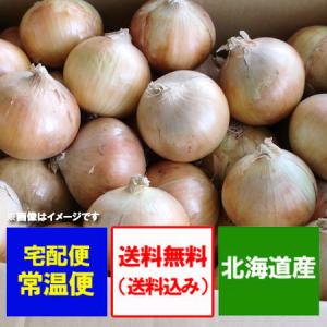 随時発送中 玉ねぎ 5kg 送料無料 たまねぎ Lサイズ 共撰 北海道 玉葱