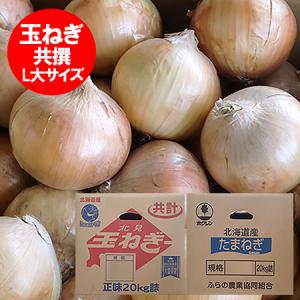 玉ねぎ（L大）20Kg 北海道産 たまねぎ 出荷時期：9〜4月 : 旬をお