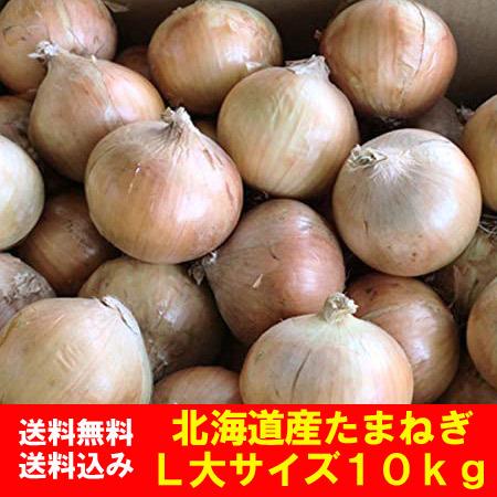 最短発送中 玉ねぎ 10kg 送料無料 たまねぎ 10kg L大サイズ 共撰 タマネギ 北海道 富良...