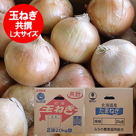最短発送中 玉ねぎ 20kg 送料無料 たまねぎ 20kg L大サイズ 共選 北海道 富良野産 もし...