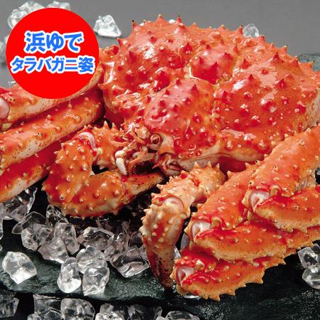 タラバガニ 姿 送料無料 タラバガニ姿 ボイル タラバガニ 茹で たらばがに 1尾 3.6kg たら...