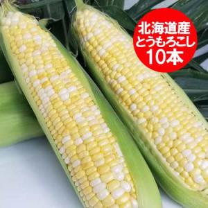 随時発送中 訳あり とうもろこし わけあり 北海道 トウモロコシ 送料無料 北海道産 とうもろこし 黄色い とうきび ドルチェドリーム 10本 イエローコーン 野菜