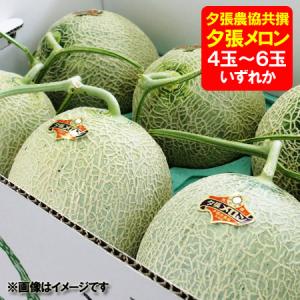 随時発送中 訳あり 夕張メロン 送料無料 夕張メロン わけあり 夕張農協共撰メロン 夕張 メロン 8kg 優品 4玉〜6玉入 1箱 フルーツ メロン 果物 くだもの